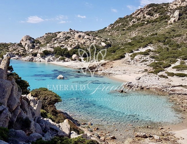 Emerald Freedom La Maddalena daily boat tour with local skipper Emerald Freedom La Maddalena daily boat tour with local skipper