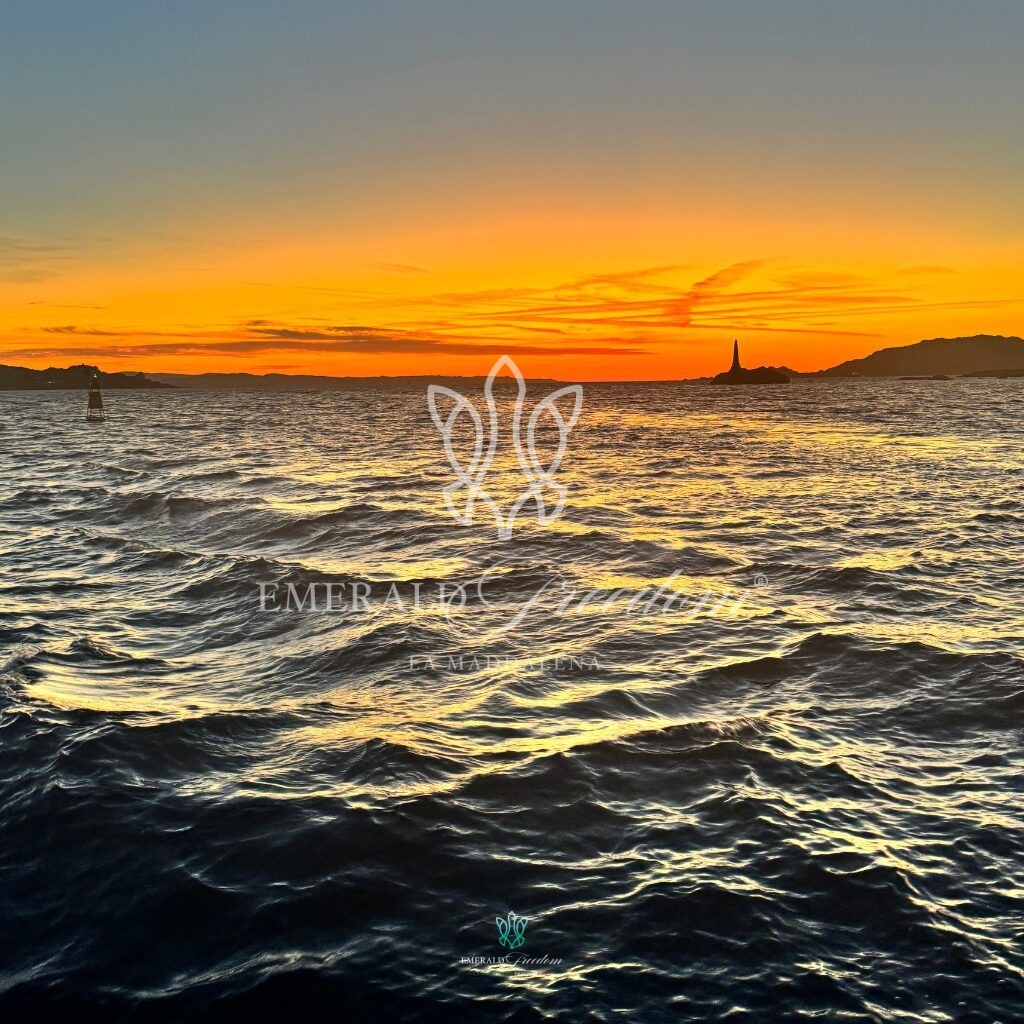 Sunset Aperitif on a Maxi-RIB La Maddalena Archipelago