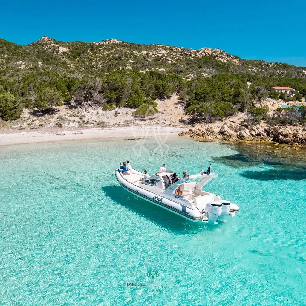 Blog Emerald Freedom Blog Emerald Freedom