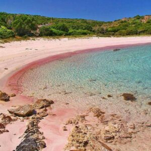 sabbia rosa di Budelli in Sardegna