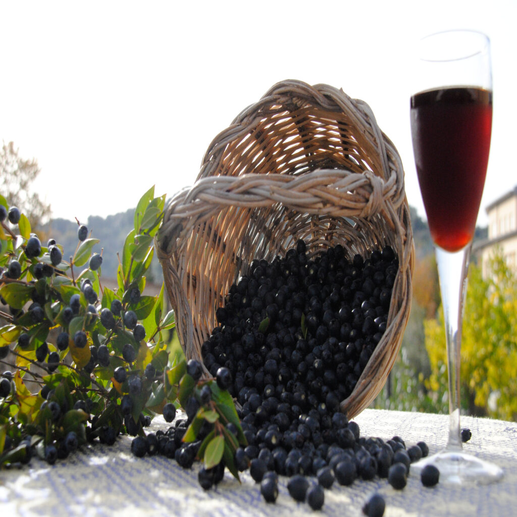 mirto di sardegna